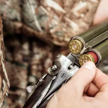 Jakt fågeljakt simulerad jakt