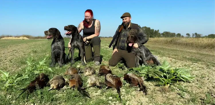 Fasanjakt Haparanda Benjamingården